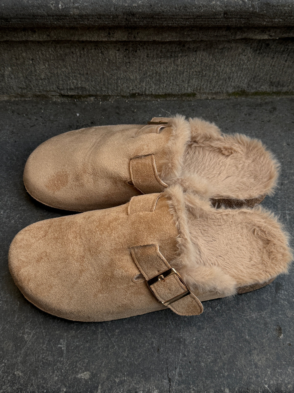 Birkies