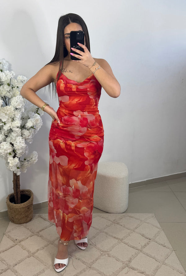 Robe Kelly